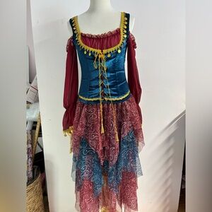 Fortune Teller/Gypsy One-Piece Women’s Costume, Medium, Blue/Maroon